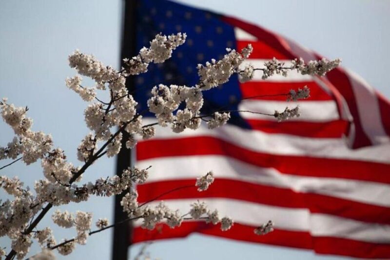 Washington, D.C.: Small Group Tour by Van - Explore Washington, D.C. in Comfort and Style