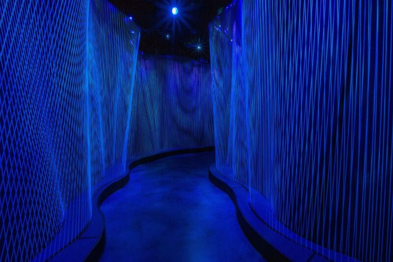 Washington DC: Museum of the Bible General Admission - Optional Washington Revelations Flight Simulator