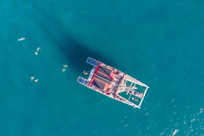 Watching and Listening Whales visiting Los Gigantes&Masca. Food&drinks included - Leisure and Sunbathing at Masca Bay
