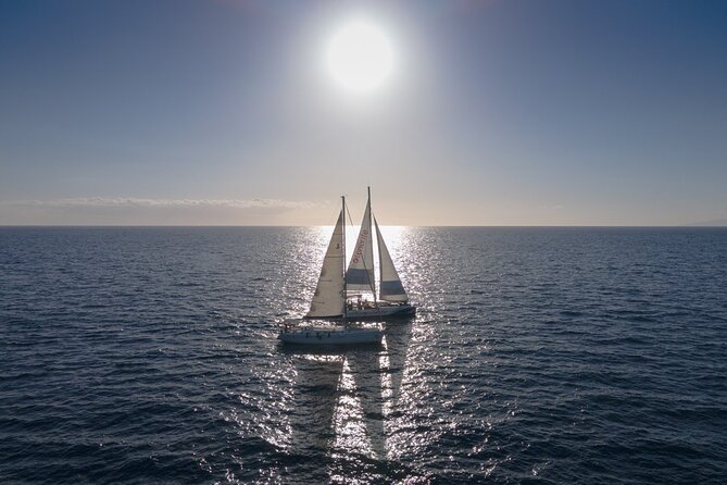 Watching and Listening Whales visiting Los Gigantes&Masca. Food&drinks included - Crew, Guides, and Safety on the Catamaran