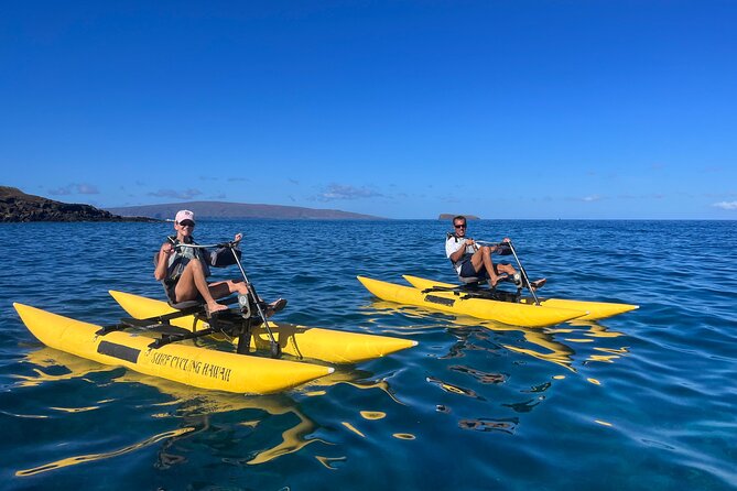 Water Bike Tour in Maui - Spotting Marine Life and Wildlife