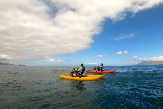 Water Bike Tour in Maui - Meeting Point and Tour Logistics