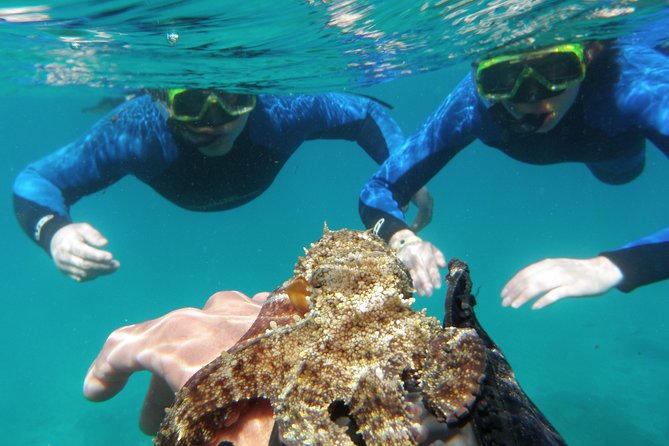 Water Taxi Lobos Island - La Caldera and Martiño Lighthouse: Highlights of the Island