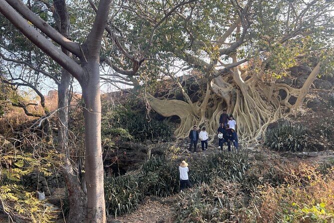 Water TOUR - Lakes, Islands, Fortresses and Artisan Workshops - Comfort and Practicalities on the Tour