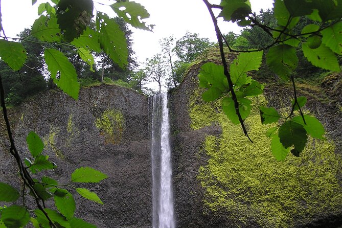 Waterfall Express Tour -Transportation to Waterfall Trolley PDX07 - Highlights of the Waterfall Stops
