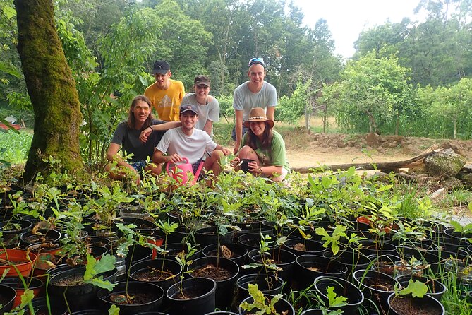 Waterfall, Lagoon and Old Village in Peneda-Gerês National Park - Weather Considerations and Year-Round Availability