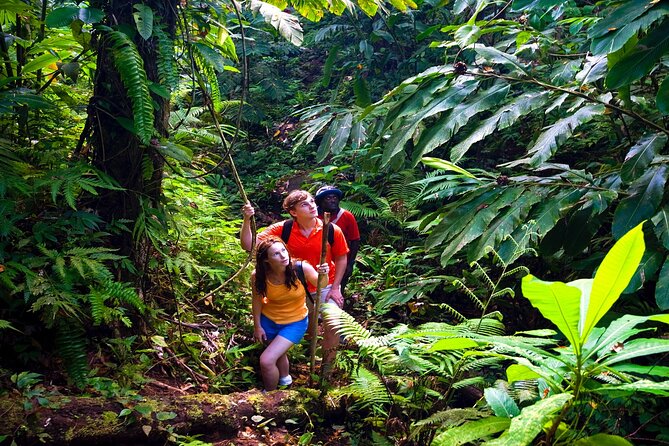 Waterfall, Rainforest, Chocolate Tour & Historical Sites - The Guides: Knowledgeable and Engaging