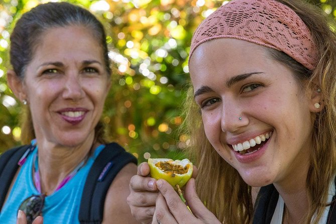 Waterfall & Rainforest Hiking Adventure with Hotel Pickup - The Trail: Exploring Waterfalls and Tropical Streams