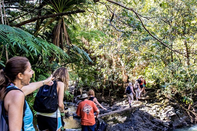 Waterfall & Rainforest Hiking Adventure with Hotel Pickup - The Guides: Experts with Passion for Maui’s Nature