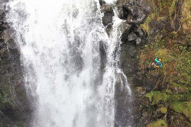 Waterfall Rappelling at Kulaniapia Falls: 120 Foot Drop, 15 Minutes from Hilo - Waterfall Rappelling at Kulaniapia Falls: An Adventurous 120-Foot Descent Near Hilo