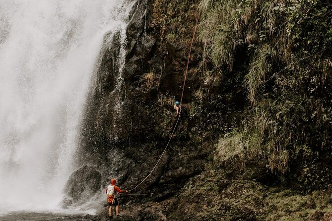 Waterfall Rappelling at Kulaniapia Falls: 120 Foot Drop, 15 Minutes from Hilo - Exploring Kulaniapia Falls and Surroundings