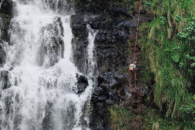 Waterfall Rappelling at Kulaniapia Falls: 120 Foot Drop, 15 Minutes from Hilo - The Rappelling Experience Itself