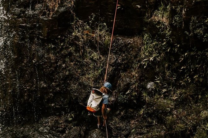 Waterfall Rappelling at Kulaniapia Falls: 120 Foot Drop, 15 Minutes from Hilo - Guides and Personal Touches