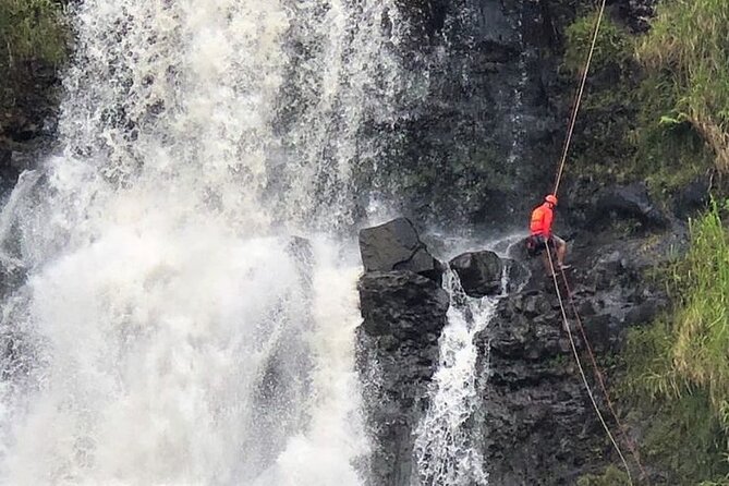 Waterfall Rappelling at Kulaniapia Falls: 120 Foot Drop, 15 Minutes from Hilo - Duration and Group Size