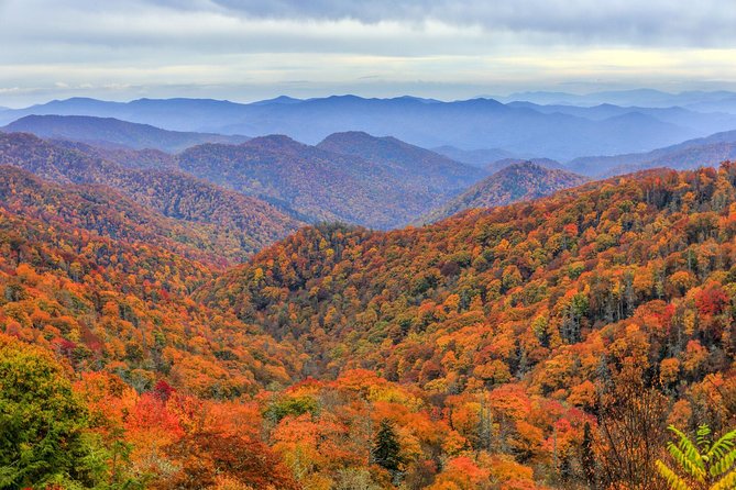 Waterfalls and Blue Ridge Parkway Hiking Tour with Expert Naturalist - Sliding Rock: A Refreshing Natural Attraction