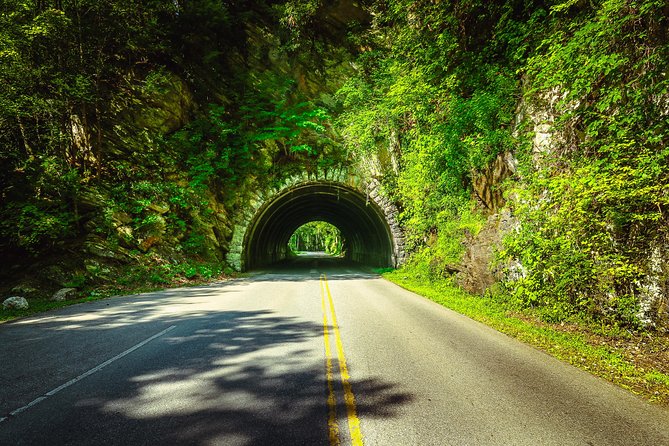 Waterfalls and Blue Ridge Parkway Hiking Tour with Expert Naturalist - Snacks and Midway Breaks: Foraging and Refreshments