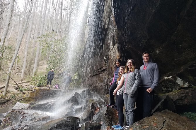 Waterfalls and Blue Ridge Parkway Hiking Tour with Expert Naturalist - Return to Asheville: Scenic Drive and Reflection