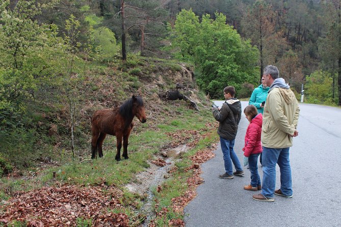 Waterfalls, Heritage and Nature in Gerês Park - from Porto - Panoramic Views from Paradela and Campo de Gerês