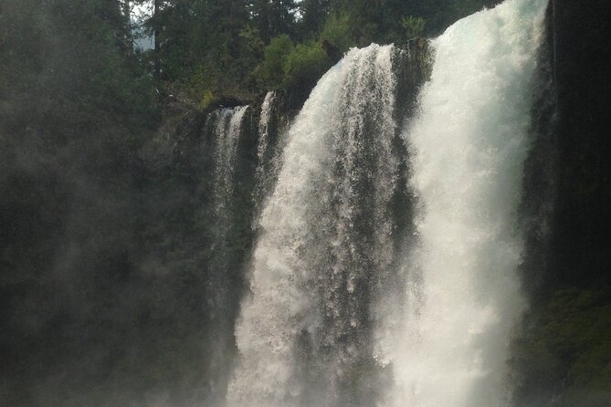 Waterfalls & the McKenzie River in a Tesla - Explore Oregon’s Waterfalls & McKenzie River in a Stylish Tesla for $200