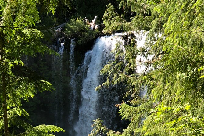 Waterfalls & the McKenzie River in a Tesla - Key Points