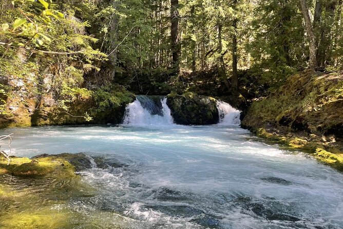 Waterfalls & the McKenzie River in a Tesla - Time at McKenzie General Store and Obsidian Grill