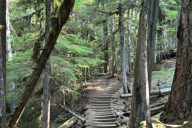 Waterfalls & the McKenzie River in a Tesla - Whats Included and Whats Not