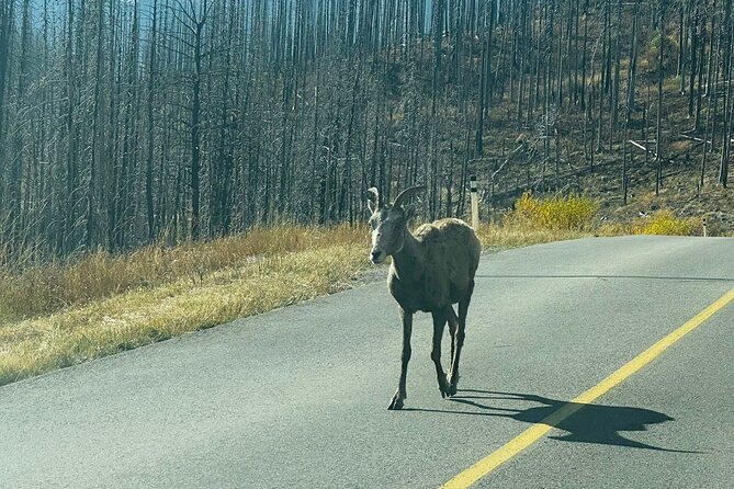 Waterton Lakes National Park Private Adventure - Sunset Over Waterton Lakes