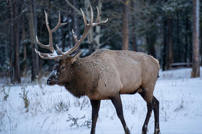 Waterton Lakes National Park Private Adventure - Weather and Cancellation Flexibility