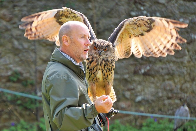 Way Up North Invergordon Shore Excursion-Castle Tickets Included - Observing Wildlife at Loch Fleet National Nature Reserve