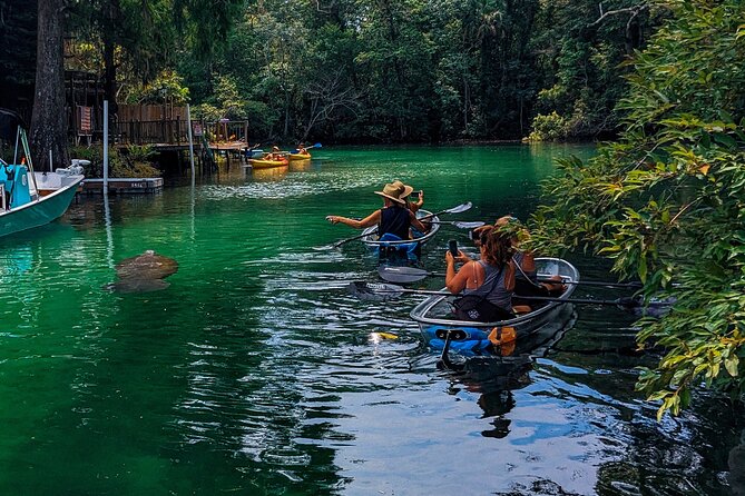 Weeki Wachee Clear Kayak Ecotours Manatee Season - November 14th-March 31st - What Makes the Weeki Wachee Clear Kayak Ecotour Stand Out?