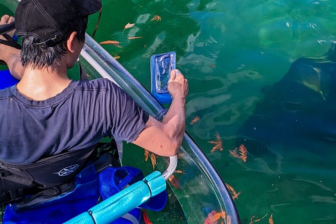 Weeki Wachee Clear Kayak Ecotours Manatee Season - November 14th-March 31st - Wildlife and Natural Highlights During the Tour