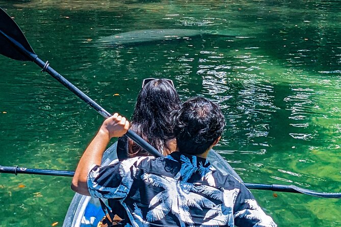 Weeki Wachee Clear Kayak Ecotours Manatee Season - November 14th-March 31st - The Experience of Paddling in See-Through Kayaks