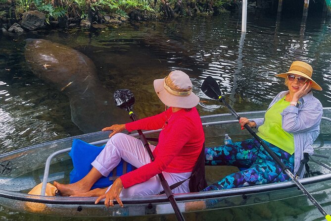 Weeki Wachee Clear Kayak Ecotours Manatee Season - November 14th-March 31st - A Word on the Pacing, Crowd Levels, and Wildlife Visibility
