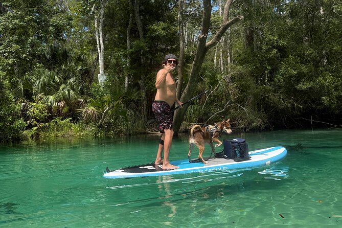Weeki Wachee Springs Guided Paddleboard Tour with Your Pet - Explore Weeki Wachee Springs on a Pet-Friendly Paddleboard Adventure for $79.20