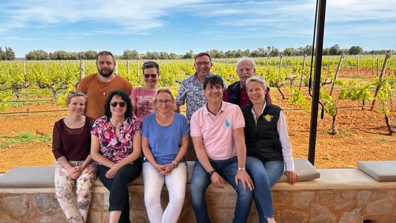 Weinsonntag auf Mallorca - Live Music for a Festive Atmosphere