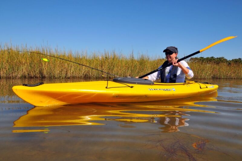 Wekiva River Kayak Full-Day Trip - Wekiva River: Central Florida’s Most Scenic Waterway