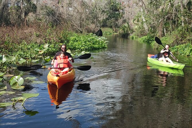 Wekiva Wildlife Kayaking Adventure Tour - Wildlife Encounters and Nature Highlights