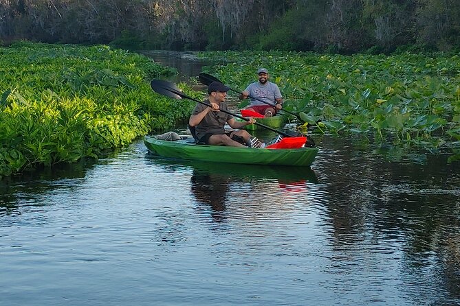 Wekiva Wildlife Kayaking Adventure Tour - Pricing, Booking, and Cancellation Policy