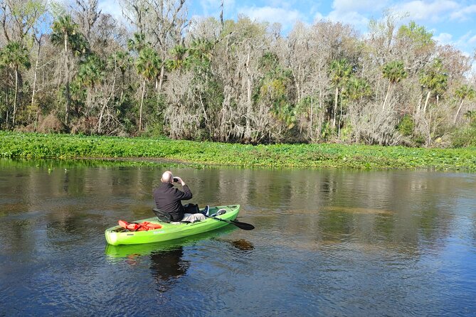 Wekiva Wildlife Kayaking Adventure Tour - What to Expect From the Overall Experience
