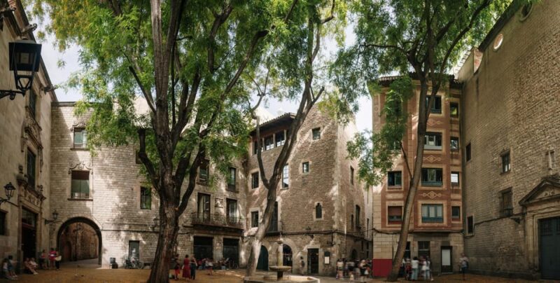 Welcome to Barcelona! Your Essential Orientation Tour. - Accessibility and Practical Details