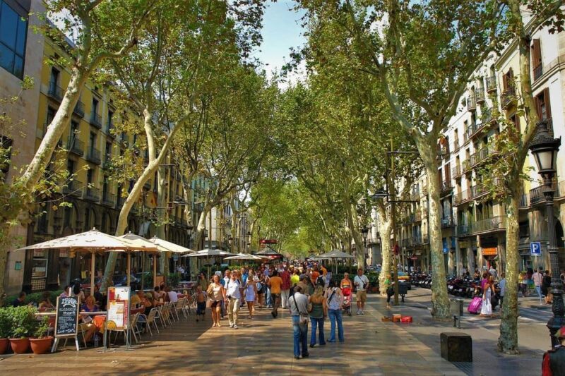 Welcome to Barcelona! Your Essential Orientation Tour. - Evaluating the Tour’s Value for Visitors
