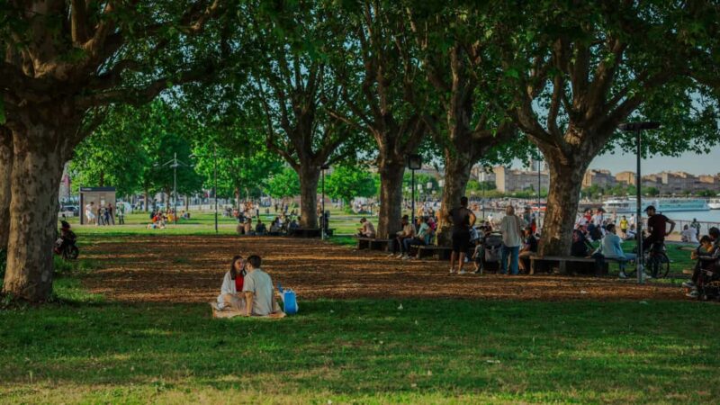 Welcome to Bordeaux: A Journey Through Time and Daily Life - Practical Tips and Insider Knowledge for Bordeaux Travel