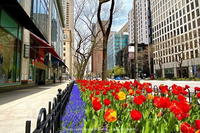 Welcome to Chicago: Private Half-Day Tour with 360 Observation Deck - Experience Quality and Guide Expertise