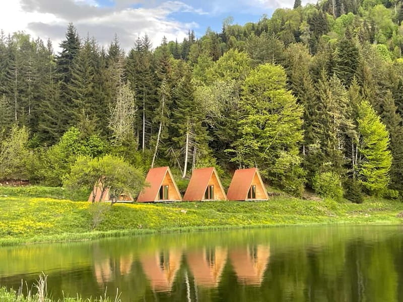 welcome to georgia discover together - Visiting Iconic Natural Landscapes of Georgia