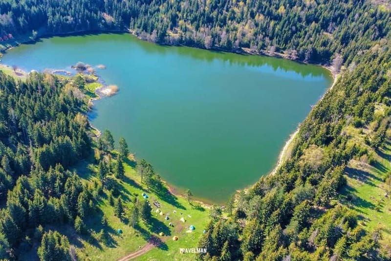 welcome to georgia discover together - How the Tour Ensures a Comfortable and Flexible Experience