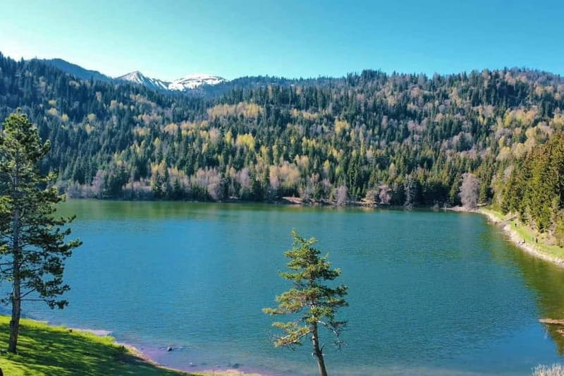 welcome to georgia discover together - Final Thoughts on "Welcome to Georgia Discover Together"