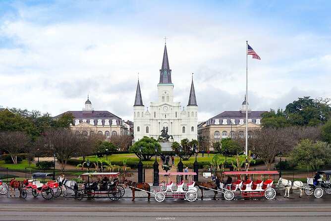 Welcome to New Orleans: Private Half-Day Highlights Walking Tour - Logistics and Practical Details