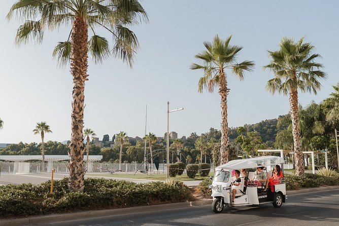 Welcome Tour to Malaga in Private Eco Tuk Tuk - From the Historic Plaza de la Marina to the Seaside La Malagueta