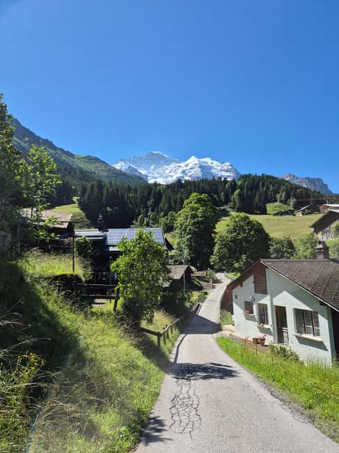 Wengen: Family-Friendly Countryside Farm Tour in Swiss Alps - Optional Cheese and Chocolate Tasting Experience