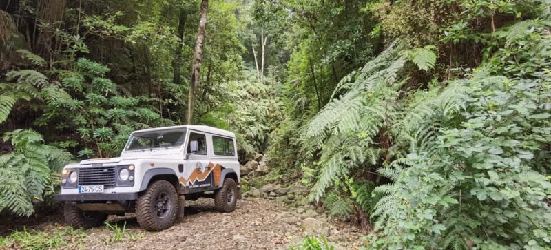 West: 4x4 Tour | Seixal Beach | Porto Moniz Natural Pools | - Seixal Black Sand Beaches and Free Time for Swimming